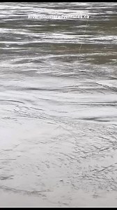 #rivermonsteradventures #madcatterhook #fishbc #sportsmanchannel #canadatravel #DinoAdventure #fishing #discoverychannel #fraserriver #travelphotography #travelphotography #tiktok #insta | River Monster Adventures