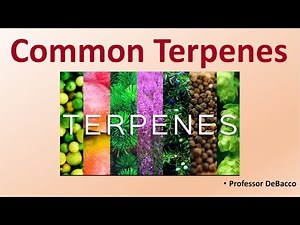 Common Terpenes