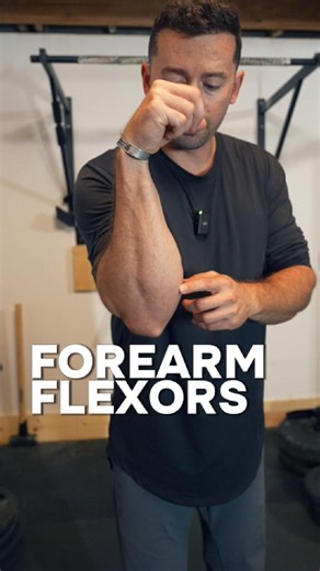41K views · 35 reactions | Forearm Flexor Exercises. These are what I use in most of my training and the translational strength you get from strong forearm flexors is incomparable. #fitness #exercise #grip #gym #gripstrength #calisthenics #workout #motivation #gymtips | Michael Eckert | Facebook