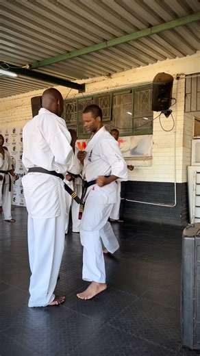 Kyokushin Power Technique 🥋 | Shihan Explains How to Punch & Kick With Full-Body Power