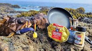 753K views · 14K reactions | Catching & Cooking a Rock-Hiding Fish! 勞 #fishing #catching #cook | Fisherman's Life | Facebook