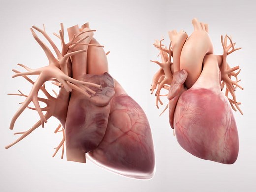 8 things that can affect your heart –  and what to do about them