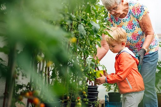 What is a Community Land Trust? | Community Land Trust Network