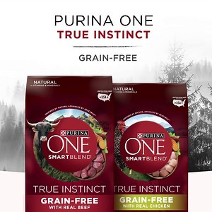 Sign up for a FREE BAG of Purina ONE True Instinct Dog Food! | Purina ONE
