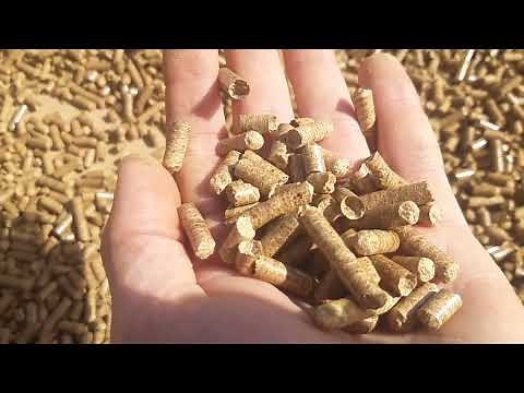 Wood Pellet making process for heating your home. 100% Oak pellets on 360mm PTO mill. DIY SW France