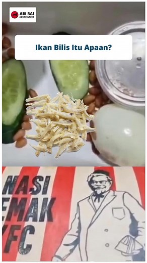 Mana ikan bilisnya KFC?! 😡 Jadi sebenarnya ikan bilis itu ikan apaan sih? sampai ngamuk-ngamuk si Abang karena ngga dikasih sama KFC 🤣 #nasilemak #nasilemakkfc #kfc #ikanbilis #kfcmalaysia