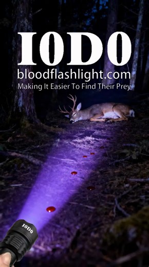 Enhance Your Tracking with I0D0 Blood Trail Lights