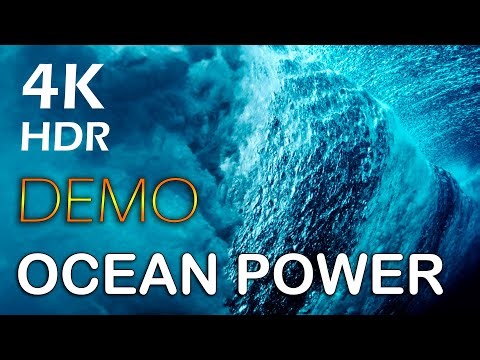 4K HDR TV Demo • Storm Above, Serenity Below – Underwater Macro (fish, corals, shellfish). Cinematic