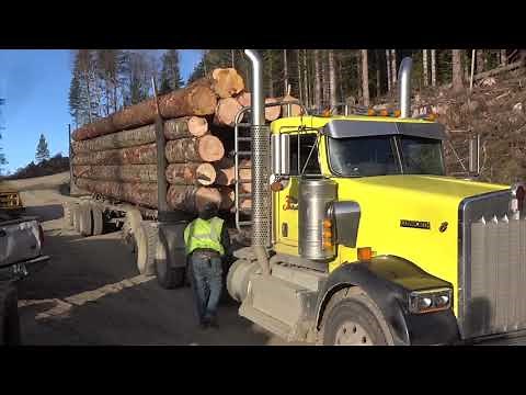 A Nice Day For A Log Truck Ride