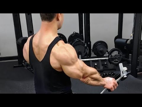 Seated Row: Build a Stronger Back Fast