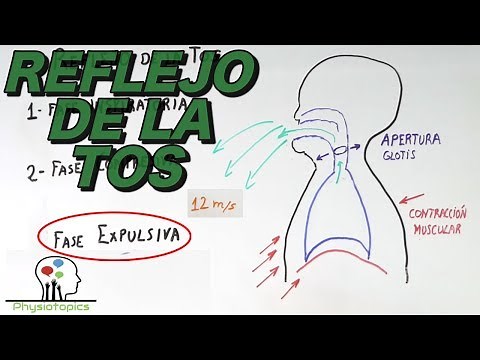Mechanics of Cough / Cough and Expiration Reflexes