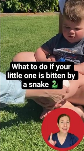 Here is a quick step-by-step guide to the Pressure Immobilisation Technique (PIT)!⁠⁠