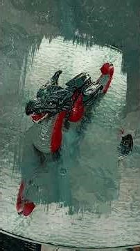 paua shell creations