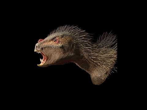 Pegomastax - roar 🔊