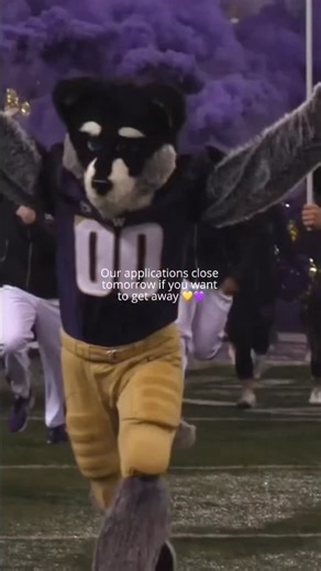 University of Washington on Instagram: "Don’t forget to hit submit! The first-year application deadline is tomorrow, Nov. 15, at midnight, PST."