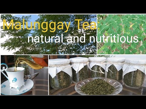 HOMEMADE MALUNGGAY TEA (MORINGA) | How to make