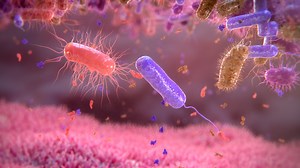 Clostridium difficile infection – sboulardii – CNCM i-745