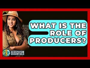 What Is The Role Of Producers? - Ecosystem Essentials