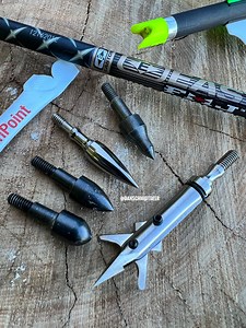 Which Type of Field Point is Best for Crossbows? | Deer & Deer Hunting