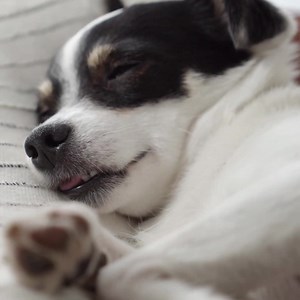 81 reactions · 5 comments | "I'm not one to brag about expensive...