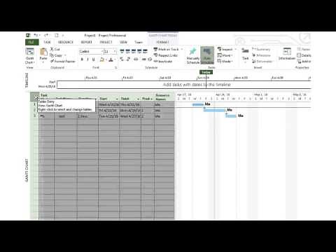 Tracking Progress using Microsoft Project