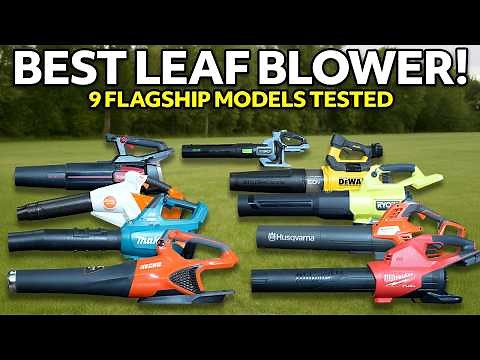 Best Leaf Blower? Milwaukee, DeWalt, Ryobi, Stihl, EGO