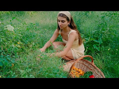 End of Summer- Daily Routines