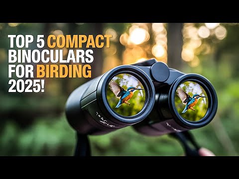 Top 5 Best Compact Binoculars For Birding 2026! 🔥