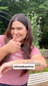 3 ways to use lemon balm: Tea 🫖 just boil fresh lemon balm leaves in water, and drink! Maybe add a little honey if you want. It’s such a refreshing tea and has been known to help calm you, and be good for your tummy too. Mosquito repellant 🪰 mosquitos hate the smell of lemon balm, so you can rub fresh leaves on your arms and legs to ward them off for a short time. Great for evening garden walks! Lemonbalm pesto 🍝 use lemonbalm in place of basil in your favorite pesto recipe and watch it becom