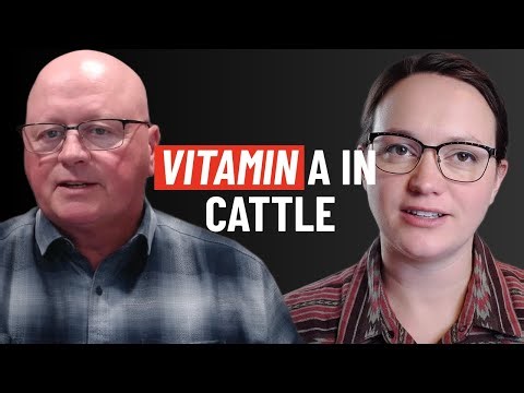 Boosting Calf Performance: The Role of Vitamin A