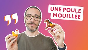 10 expressions avec des animaux ⬇️ Télécharge la fiche PDF relative à la leçon “10 expressions françaises courantes avec des animaux” : https://www.francaisauthentique.com/fpdf146 | Français Authentique