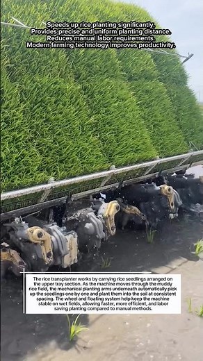 Modern Automatic Rice Planting Machine