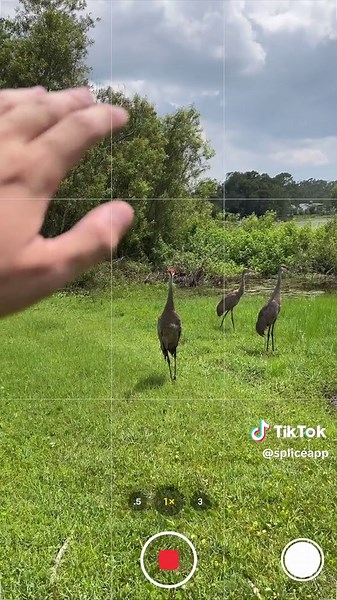 Mastering Mobile Editing with Splice App Transitions Tutorial