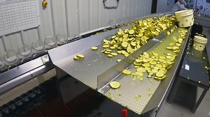 Garrettsville's Don Hermann & Sons Pickle Company is crunching its way to national success