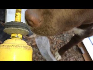 How to change the front shocks on a 1990 ford ranger
