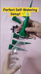 Perfect Self-Watering Setup! 🌱💧 | Bottle Drip System Installed #selfwatering #autorewatering #diy