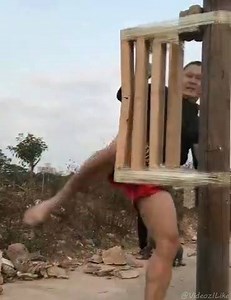 Iron Legs ☯🥋 | Videos I Like