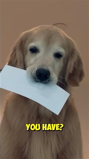 My GOLDEN RETRIEVER Signed Me Up for a GOLD HUNT?! 💰🐶 #roblox