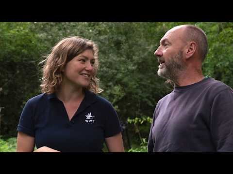 How Natural Flood Management (NFM) Works: Slowing the Flow | WWT