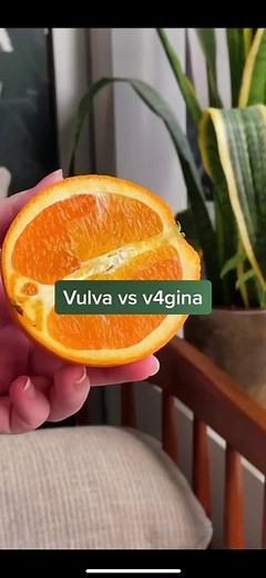 A quick 101 on female anatomy 🧐 #learningisfun #adulting