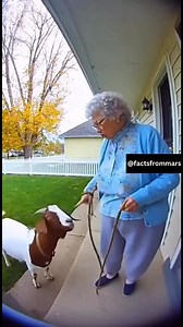 12K views · 145 reactions | Grandma Arguing With a Goat 藍 | Facts From Mars | Facebook