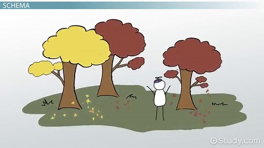 Using Schemata in Education