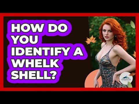How Do You Identify A Whelk Shell?