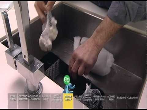 Setting up the Filter