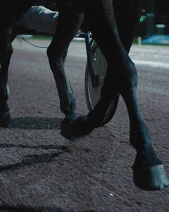 10K views · 451 reactions | This Volvo FMX Electric combines seamless power with responsive tipping controls. And it’s quiet. You can even hear when the right amount of gravel is falling from the tipper. #electrictrucksinreality #volvotrucks | Volvo Trucks | Facebook