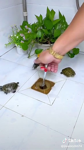 Snake wire clogged drainer#snake wire clogged drainer