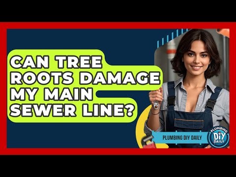 Can Tree Roots Damage My Main Sewer Line? - Plumbing DIY Daily