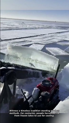 How Giant Ice Blocks Are Harvested from Frozen Lakes