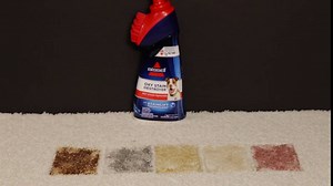 Bissell Pro Oxy Stain Destroyer Pet with Brush Head Cleaner - 1766