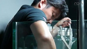 20K views · 490 reactions | [ADAview] Riverbed of unexplored region...